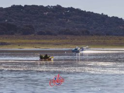 2023-09-29 SALAMANDRA II